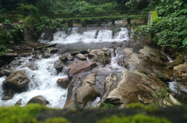 Vagamon Off Road Jeep Safari | Jeep Safari in Vagamon | Vagamon Jeep Safari | Jeep Safari Vagamon | Off Road Jeep Safari Vagamon | Vagamon Off Road Jeep Safari| Offroad Adventure | 4x4 Jeep Safari | Off Road Driving Jeep Trail | Adventure Tourism | Off Road Expedition | Jeep Safari Experience | Off Road Thrills | Off Road Jeep Safari Near Me | Jeep Safari Booking | Off Road Adventure Packages | 4x4 Off Road Tours | Off Road Jeep Trails | Off Road Driving Experience Jeep Safari Cost | Off Road Expedition Team | Vagamon Jeep Safari | Jeep Safari in Vagamon | Vagamon Adventure | Off-road Jeep Safari | Hill Safari in Vagamon | Vagamon Tourism | Kerala Jeep Safari | Trekking in Vagamon | Vagamon Trekking | Camping Vagamon | Tent Camping in Vangamon | Adventure Activities in Vagamon | Vagamon Travel | Explore Vagamon | Vagamon Tour Packages | Vagamon Holiday Packages | Vagamon Travel Packages | Vagamon Adventure Packages | Vagamon Honeymoon Packages | Vagamon Family Packages | Vagamon Group Tour Packages | Vagamon Budget Packages | Vagamon Luxury Packages | Vagamon Customized Packages | Local Sightseeing Tour Packages | Sightseeing Tours Vagamon | Vagamon Sightseeing Tours | Vagamon | Kerala Tourism |Hill Station | Travel |Adventure | Trekking |Hiking |Camping |Paragliding | Vagamon trekking packages | Vagamon camping packages | Vagamon paragliding packages | Vagamon jeep safari packages | Vagamon tea garden tour packages | Vagamon wildlife tour packages | Vagamon photography tour packages | Vagamon yoga and meditation packages | Room Booking in Vagamon | Vagamon Hotel Booking| Vagamon Room Booking | Book Rooms in Vagamon |Vagamon Hotel Booking |Vagamon Resort Booking |Vagamon Accommodation Booking | Room Reservation in Vagamon | Luxury and Budget Options | Vagamon Online Room Booking |Vagamon Budget Room Booking |Vagamon Luxury Room Booking | Vagamon Room Reservation | Vagamon Hotel Reservation | Book Rooms in Vagamon | Best Hotels and Resorts