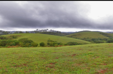 Vagamon Off Road Jeep Safari | Jeep Safari in Vagamon | Vagamon Jeep Safari | Jeep Safari Vagamon | Off Road Jeep Safari Vagamon | Vagamon Off Road Jeep Safari| Offroad Adventure | 4x4 Jeep Safari | Off Road Driving Jeep Trail | Adventure Tourism | Off Road Expedition | Jeep Safari Experience | Off Road Thrills | Off Road Jeep Safari Near Me | Jeep Safari Booking | Off Road Adventure Packages | 4x4 Off Road Tours | Off Road Jeep Trails | Off Road Driving Experience Jeep Safari Cost | Off Road Expedition Team | Vagamon Jeep Safari | Jeep Safari in Vagamon | Vagamon Adventure | Off-road Jeep Safari | Hill Safari in Vagamon | Vagamon Tourism | Kerala Jeep Safari | Trekking in Vagamon | Vagamon Trekking | Camping Vagamon | Tent Camping in Vangamon | Adventure Activities in Vagamon | Vagamon Travel | Explore Vagamon | Vagamon Tour Packages | Vagamon Holiday Packages | Vagamon Travel Packages | Vagamon Adventure Packages | Vagamon Honeymoon Packages | Vagamon Family Packages | Vagamon Group Tour Packages | Vagamon Budget Packages | Vagamon Luxury Packages | Vagamon Customized Packages | Local Sightseeing Tour Packages | Sightseeing Tours Vagamon | Vagamon Sightseeing Tours | Vagamon | Kerala Tourism |Hill Station | Travel |Adventure | Trekking |Hiking |Camping |Paragliding | Vagamon trekking packages | Vagamon camping packages | Vagamon paragliding packages | Vagamon jeep safari packages | Vagamon tea garden tour packages | Vagamon wildlife tour packages | Vagamon photography tour packages | Vagamon yoga and meditation packages | Room Booking in Vagamon | Vagamon Hotel Booking| Vagamon Room Booking | Book Rooms in Vagamon |Vagamon Hotel Booking |Vagamon Resort Booking |Vagamon Accommodation Booking | Room Reservation in Vagamon | Luxury and Budget Options | Vagamon Online Room Booking |Vagamon Budget Room Booking |Vagamon Luxury Room Booking | Vagamon Room Reservation | Vagamon Hotel Reservation | Book Rooms in Vagamon | Best Hotels and Resorts