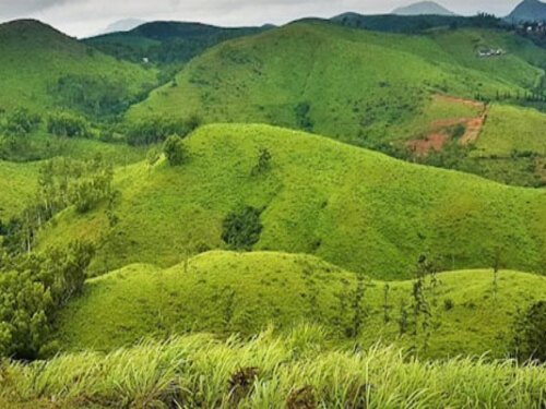 Vagamon Off Road Jeep Safari | Jeep Safari in Vagamon | Vagamon Jeep Safari | Jeep Safari Vagamon | Off Road Jeep Safari Vagamon | Vagamon Off Road Jeep Safari| Offroad Adventure | 4x4 Jeep Safari | Off Road Driving Jeep Trail | Adventure Tourism | Off Road Expedition | Jeep Safari Experience | Off Road Thrills | Off Road Jeep Safari Near Me | Jeep Safari Booking | Off Road Adventure Packages | 4x4 Off Road Tours | Off Road Jeep Trails | Off Road Driving Experience Jeep Safari Cost | Off Road Expedition Team | Vagamon Jeep Safari | Jeep Safari in Vagamon | Vagamon Adventure | Off-road Jeep Safari | Hill Safari in Vagamon | Vagamon Tourism | Kerala Jeep Safari | Trekking in Vagamon | Vagamon Trekking | Camping Vagamon | Tent Camping in Vangamon | Adventure Activities in Vagamon | Vagamon Travel | Explore Vagamon | Vagamon Tour Packages | Vagamon Holiday Packages | Vagamon Travel Packages | Vagamon Adventure Packages | Vagamon Honeymoon Packages | Vagamon Family Packages | Vagamon Group Tour Packages | Vagamon Budget Packages | Vagamon Luxury Packages | Vagamon Customized Packages | Local Sightseeing Tour Packages | Sightseeing Tours Vagamon | Vagamon Sightseeing Tours | Vagamon | Kerala Tourism |Hill Station | Travel |Adventure | Trekking |Hiking |Camping |Paragliding | Vagamon trekking packages | Vagamon camping packages | Vagamon paragliding packages | Vagamon jeep safari packages | Vagamon tea garden tour packages | Vagamon wildlife tour packages | Vagamon photography tour packages | Vagamon yoga and meditation packages | Room Booking in Vagamon | Vagamon Hotel Booking| Vagamon Room Booking | Book Rooms in Vagamon |Vagamon Hotel Booking |Vagamon Resort Booking |Vagamon Accommodation Booking | Room Reservation in Vagamon | Luxury and Budget Options | Vagamon Online Room Booking |Vagamon Budget Room Booking |Vagamon Luxury Room Booking | Vagamon Room Reservation | Vagamon Hotel Reservation | Book Rooms in Vagamon | Best Hotels and Resorts |