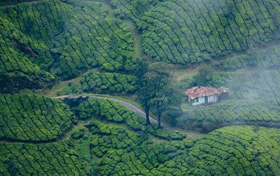 Vagamon Off Road Jeep Safari | Jeep Safari in Vagamon | Vagamon Jeep Safari | Jeep Safari Vagamon | Off Road Jeep Safari Vagamon | Vagamon Off Road Jeep Safari| Offroad Adventure | 4x4 Jeep Safari | Off Road Driving Jeep Trail | Adventure Tourism | Off Road Expedition | Jeep Safari Experience | Off Road Thrills | Off Road Jeep Safari Near Me | Jeep Safari Booking | Off Road Adventure Packages | 4x4 Off Road Tours | Off Road Jeep Trails | Off Road Driving Experience Jeep Safari Cost | Off Road Expedition Team | Vagamon Jeep Safari | Jeep Safari in Vagamon | Vagamon Adventure | Off-road Jeep Safari | Hill Safari in Vagamon | Vagamon Tourism | Kerala Jeep Safari | Trekking in Vagamon | Vagamon Trekking | Camping Vagamon | Tent Camping in Vangamon | Adventure Activities in Vagamon | Vagamon Travel | Explore Vagamon | Vagamon Tour Packages | Vagamon Holiday Packages | Vagamon Travel Packages | Vagamon Adventure Packages | Vagamon Honeymoon Packages | Vagamon Family Packages | Vagamon Group Tour Packages | Vagamon Budget Packages | Vagamon Luxury Packages | Vagamon Customized Packages | Local Sightseeing Tour Packages | Sightseeing Tours Vagamon | Vagamon Sightseeing Tours | Vagamon | Kerala Tourism |Hill Station | Travel |Adventure | Trekking |Hiking |Camping |Paragliding | Vagamon trekking packages | Vagamon camping packages | Vagamon paragliding packages | Vagamon jeep safari packages | Vagamon tea garden tour packages | Vagamon wildlife tour packages | Vagamon photography tour packages | Vagamon yoga and meditation packages | Room Booking in Vagamon | Vagamon Hotel Booking| Vagamon Room Booking | Book Rooms in Vagamon |Vagamon Hotel Booking |Vagamon Resort Booking |Vagamon Accommodation Booking | Room Reservation in Vagamon | Luxury and Budget Options | Vagamon Online Room Booking |Vagamon Budget Room Booking |Vagamon Luxury Room Booking | Vagamon Room Reservation | Vagamon Hotel Reservation | Book Rooms in Vagamon | Best Hotels and Resorts |